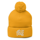 Fort Collins Pom-Pom Beanie