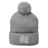 Fort Collins Pom-Pom Beanie